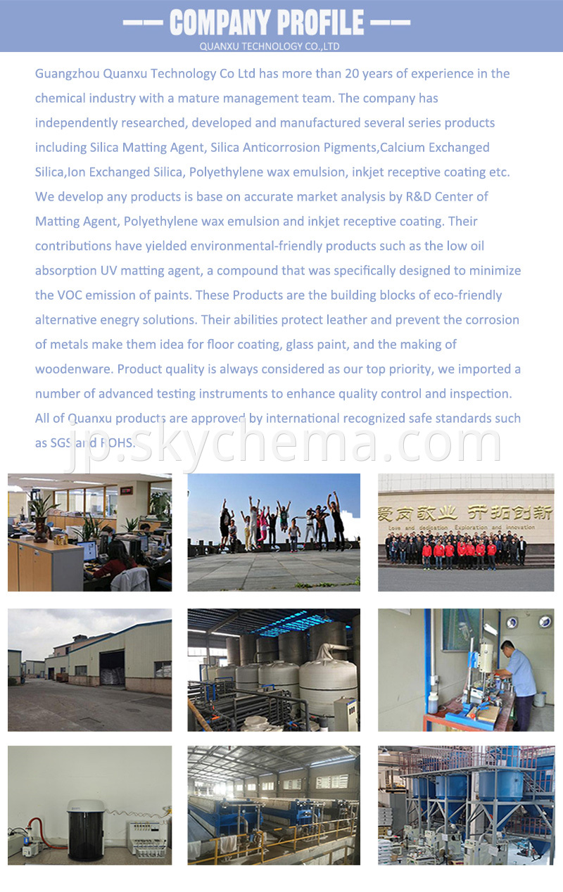 Company Profile 5